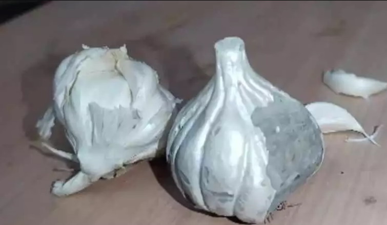 印度街頭出現水泥假大蒜：與真蒜混合出售