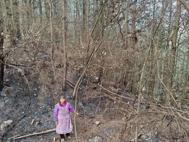 極度荒謬 貴州一大媽放火燒山 只為撿塑膠瓶賣錢