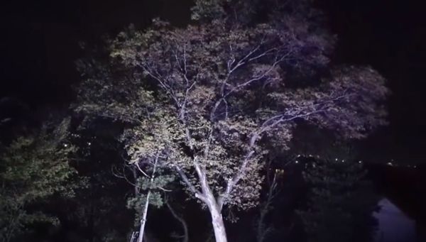 日本青森出現神秘地鳴：地面傳出轟隆聲居民擔憂是地震或火山先兆