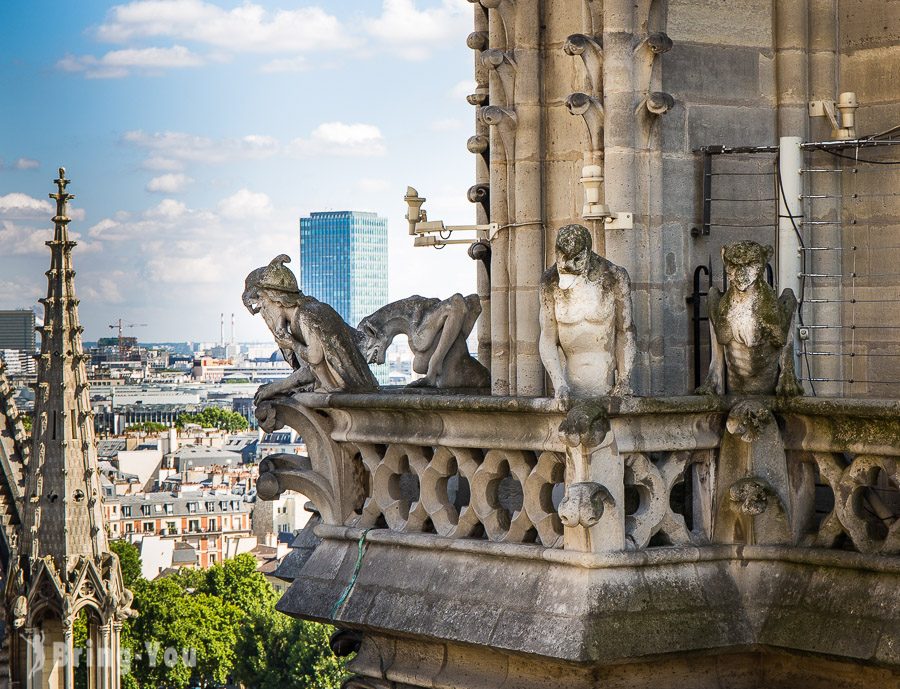 使用1200多棵橡樹修繕 巴黎聖母院塔樓重新開放