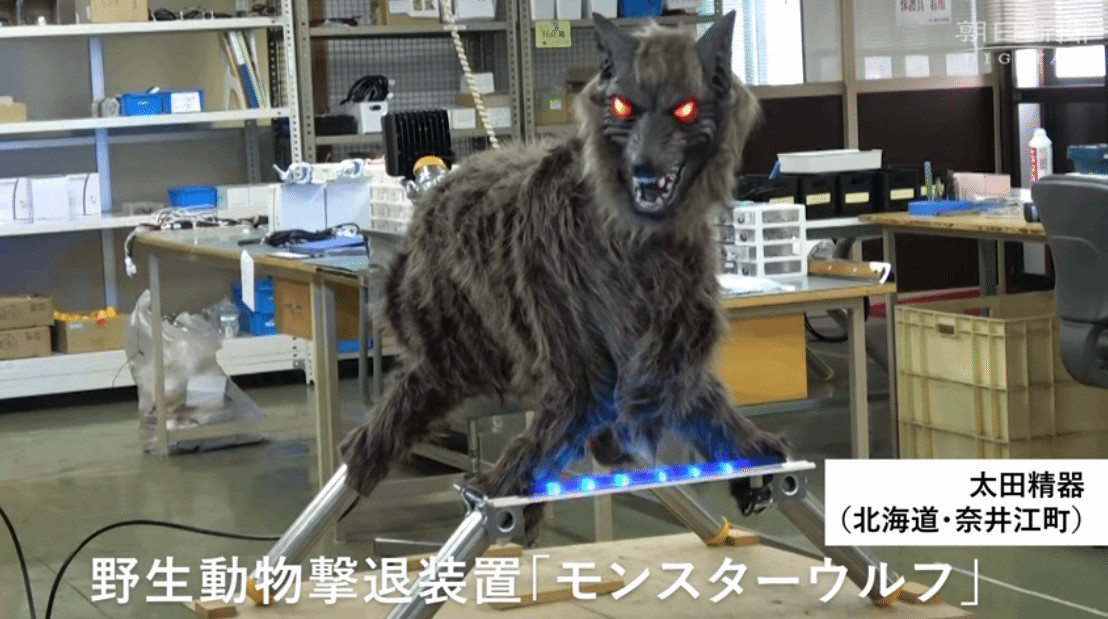 日本發明機械狼  用於幫助北海道居民驅趕野熊