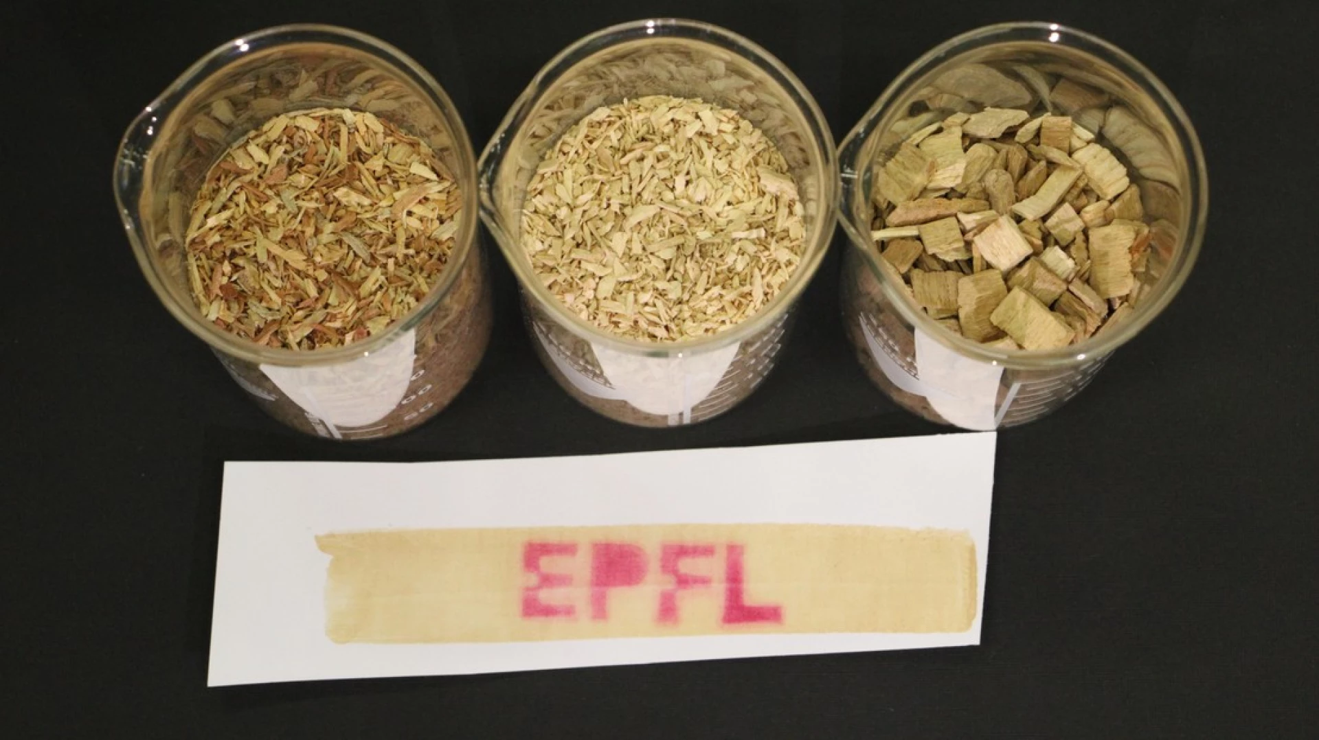 以木質高分子取代有毒塗層瑞士團隊開發更環保的熱敏紙