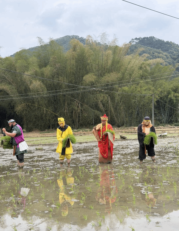 四位穿著傳統服飾的人在水田中移植稻苗，背景有竹林和天空。